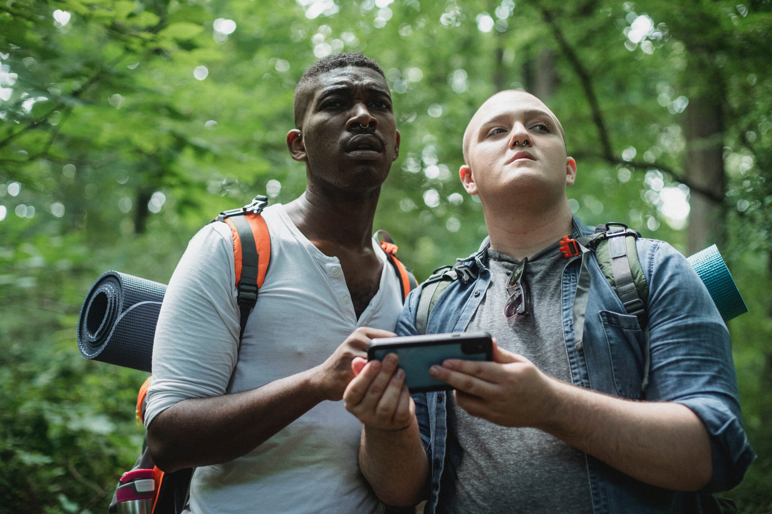 guai de viagem, dois homens consultando um telefone